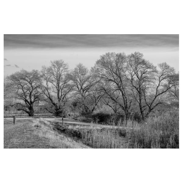 PHOTO84, CLUB, 84 , LUBERON